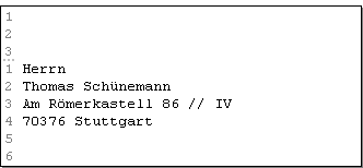 Abb. 12.2.1: DIN 5008 - Musteranschrift